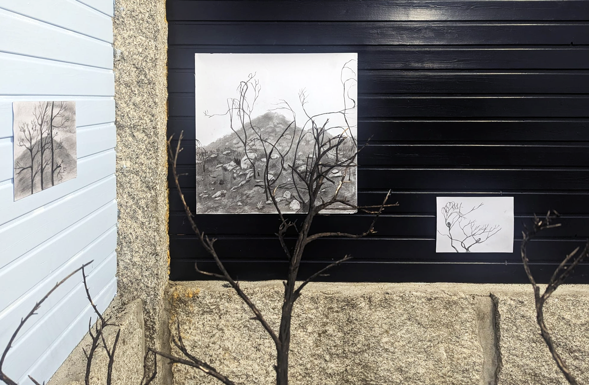 Survivors of the burned forest