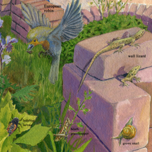 Artwork: abstract harmony