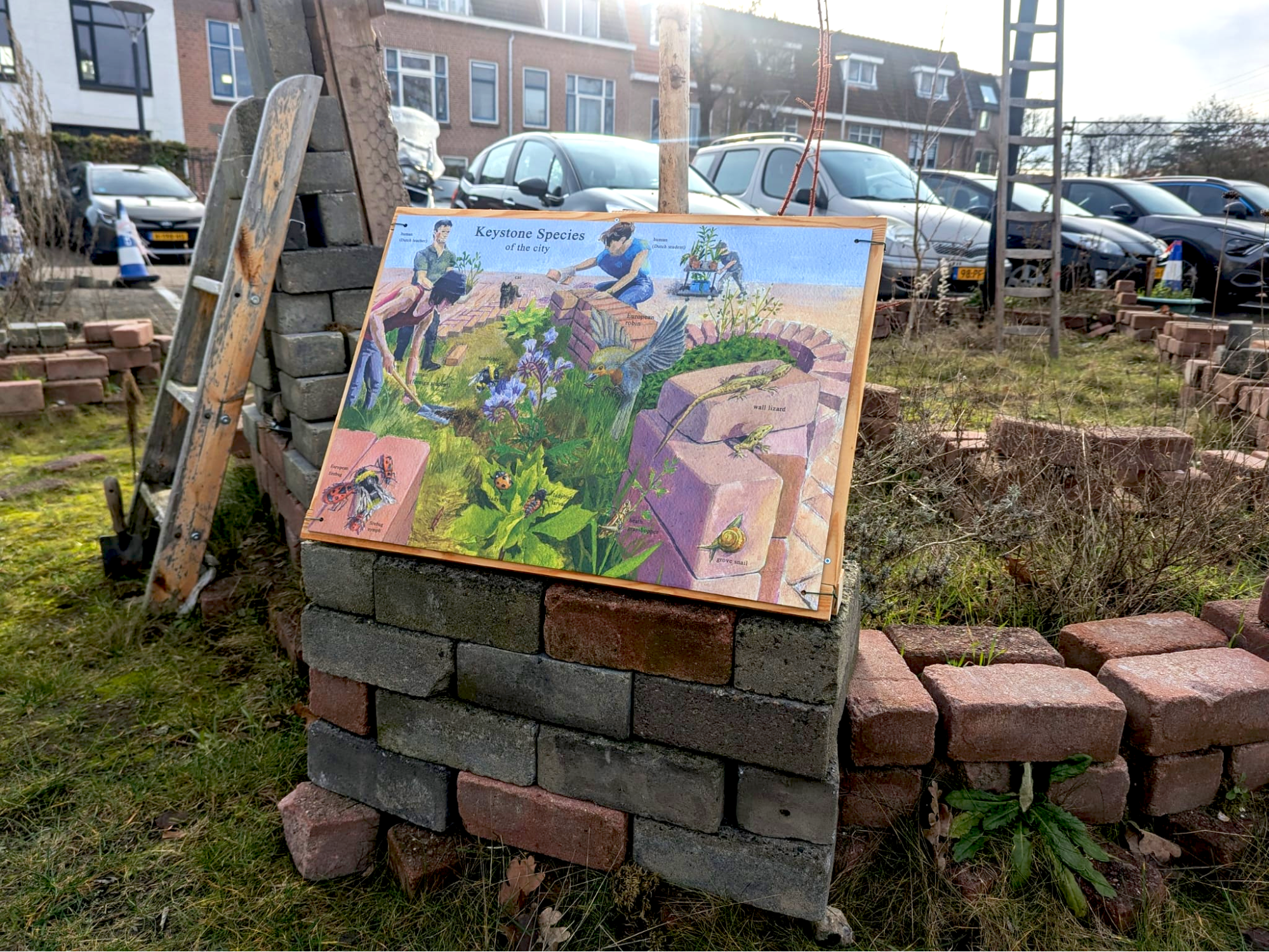 Keystone Species of the City - site-specific garden structure at HKU Oudenoord